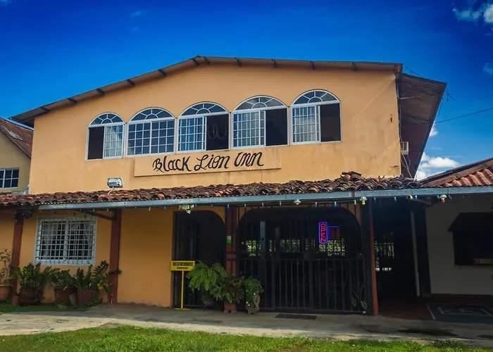 Black Lion Inn