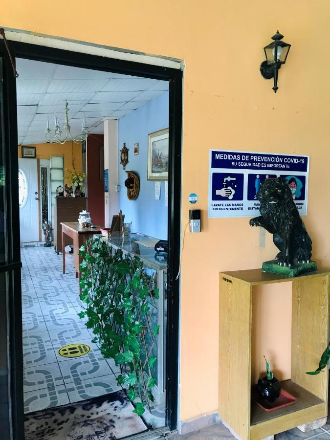 Guest house Black Lion *