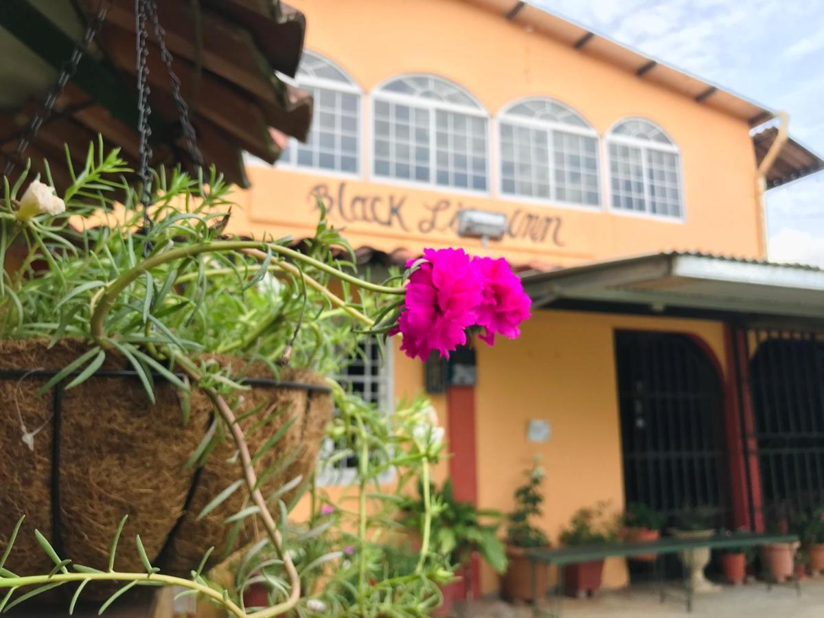 Black Lion Santiago