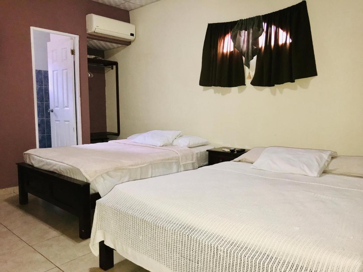 Black Lion Guest house *