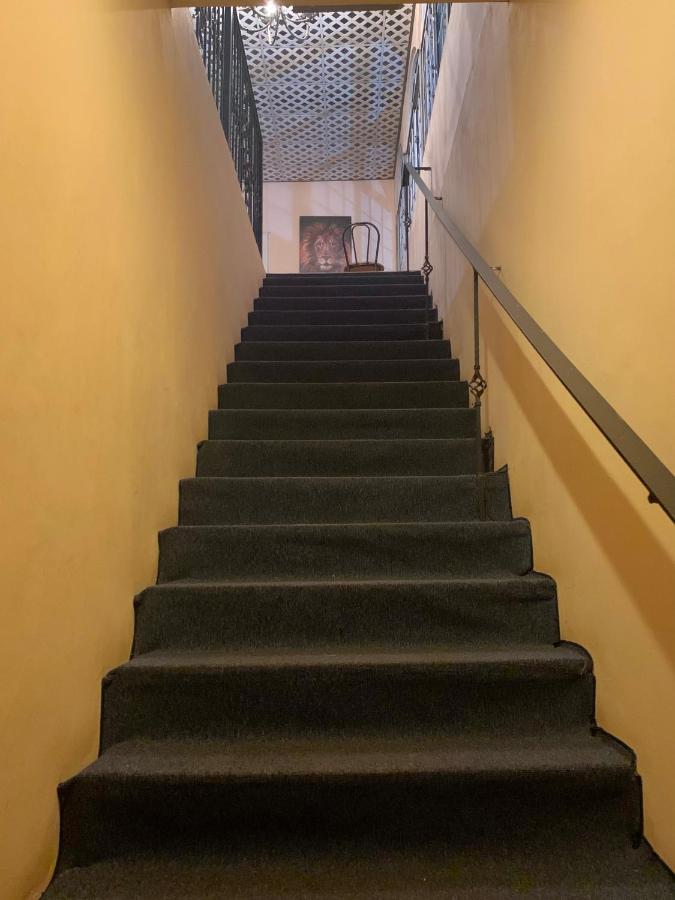 Guest house Black Lion Santiago