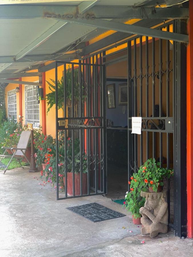 Guest house Black Lion
