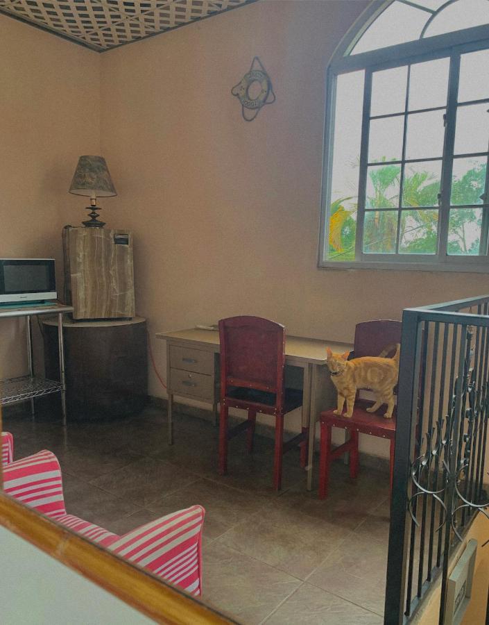 Guest house Black Lion *